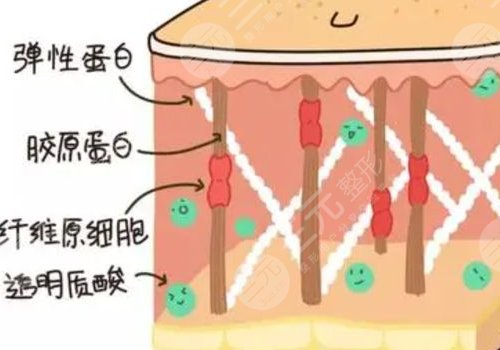 熱瑪吉全臉做一次多少錢？