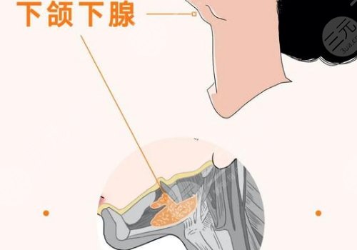 下頜緣輪廓注射多少錢？能維持多久？