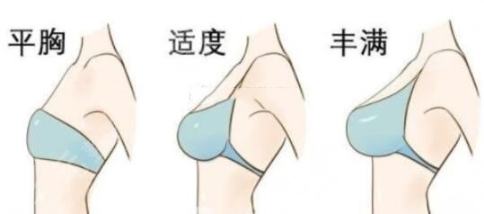 假體型號尺寸
