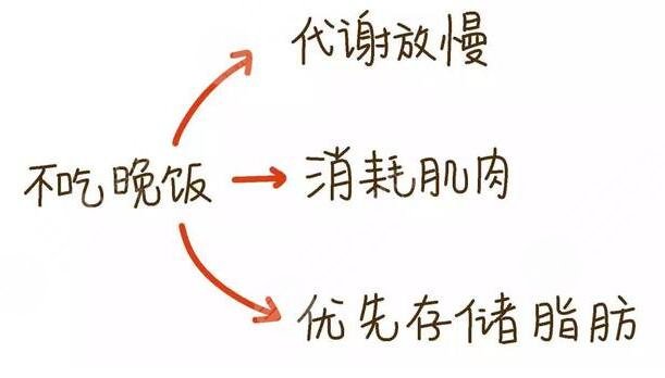 晚餐要適量，健康更重要