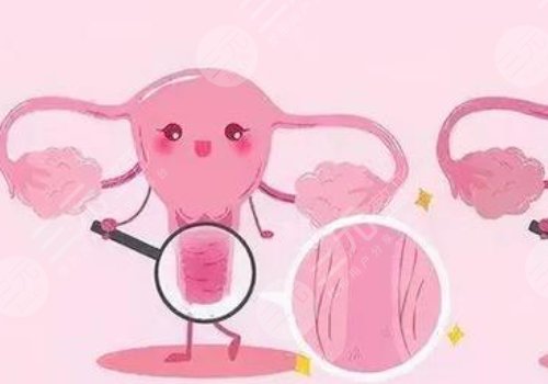 女性私處修復手術大概多少錢？