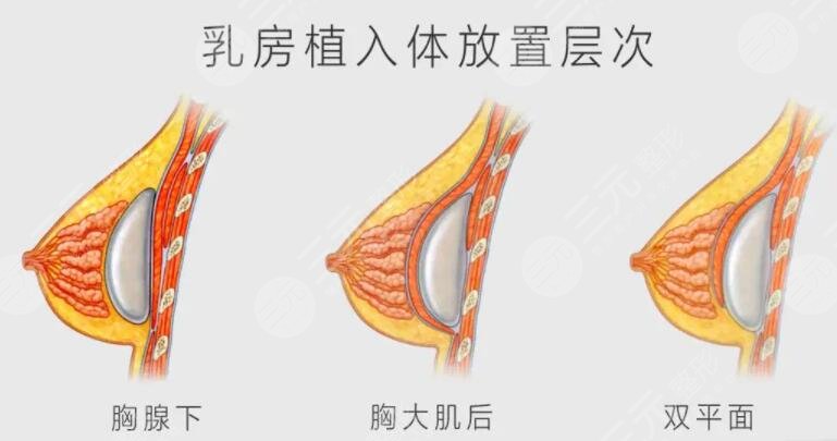 飲食調(diào)整