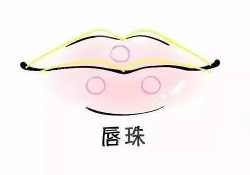 唇部注射玻尿酸會(huì)栓塞嗎？