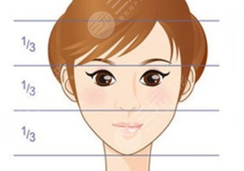 面部輪廓整形包括哪些項目？