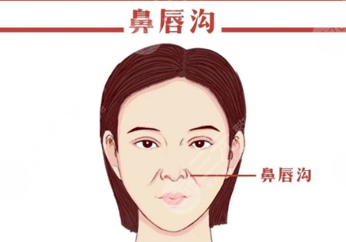 電波拉皮和熱瑪吉的區(qū)別在哪？