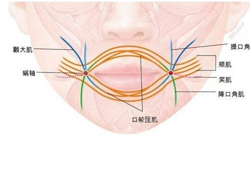 縮短人中的手術(shù)危險(xiǎn)嗎？