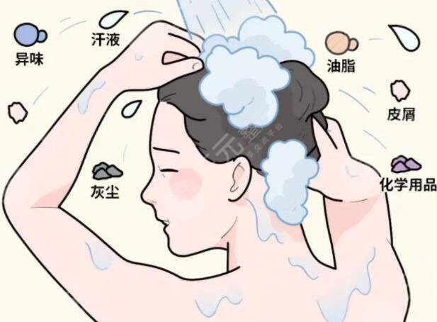 多久洗一次頭健康？科學(xué)洗頭間隔時(shí)間一般是2-3天左右