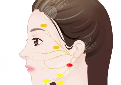 熱瑪吉和超聲炮哪個(gè)提升效果好?