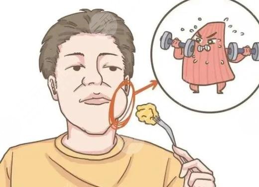 咬肌