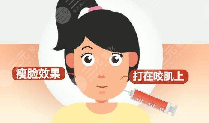 瘦臉