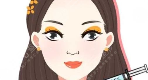 輪廓針