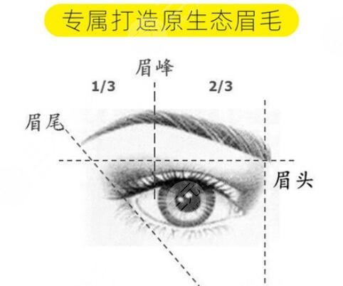 植眉毛一般價(jià)格要多少錢(qián)？植發(fā)費(fèi)用大全2023更新！