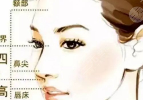 上海第九人民醫(yī)院預(yù)約掛號(hào)官網(wǎng)