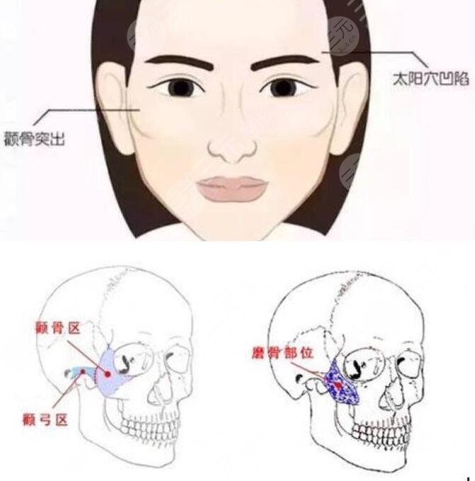 韋敏