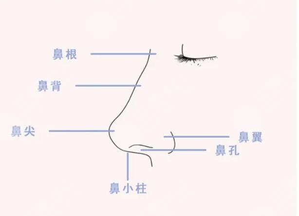 媽生鼻手術后需要注意什么？