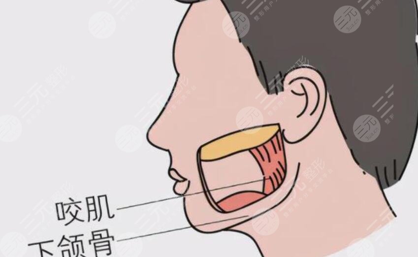 發(fā)腮