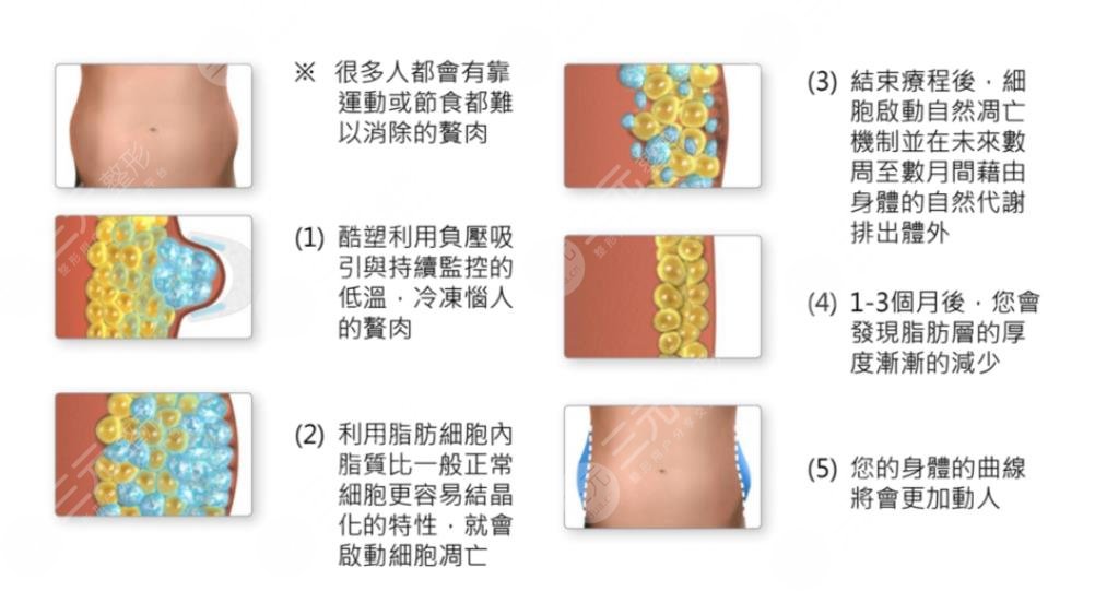 瘦肚子和腰上贅肉有效的方法有哪些？