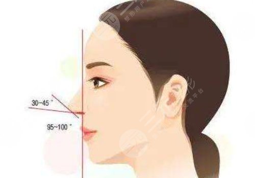 余龍做鼻子好看嗎？