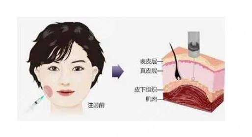 北京美媛薈