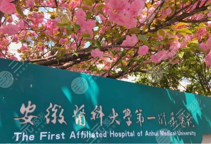 安徽醫(yī)科大學(xué)第一附屬醫(yī)院