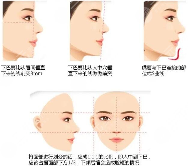 下巴