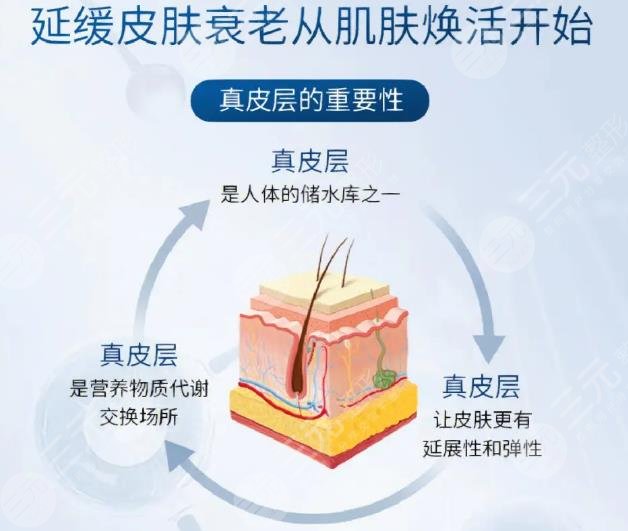 抗衰