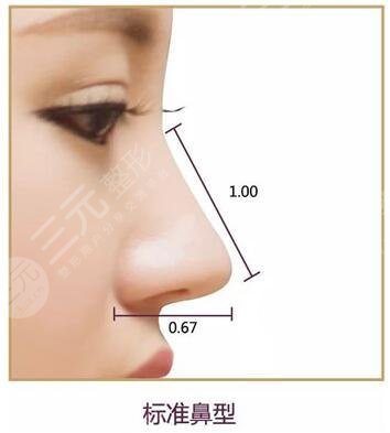 　成都周順波做鼻子風(fēng)格