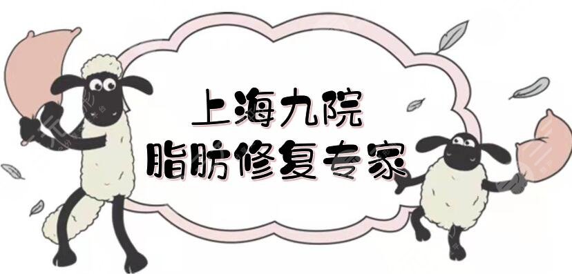 上海九院脂肪修復專家排