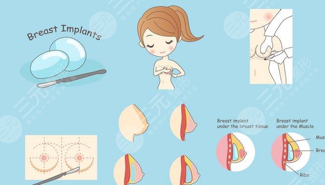 鉑蘊(yùn)和法芮雅哪個(gè)好