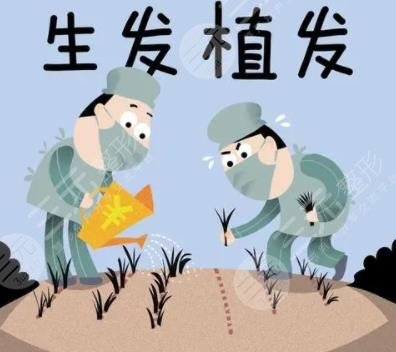 植發(fā)