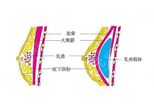 范希玲簡(jiǎn)介