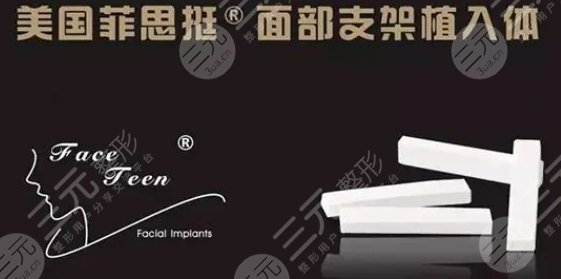 美國菲思挺