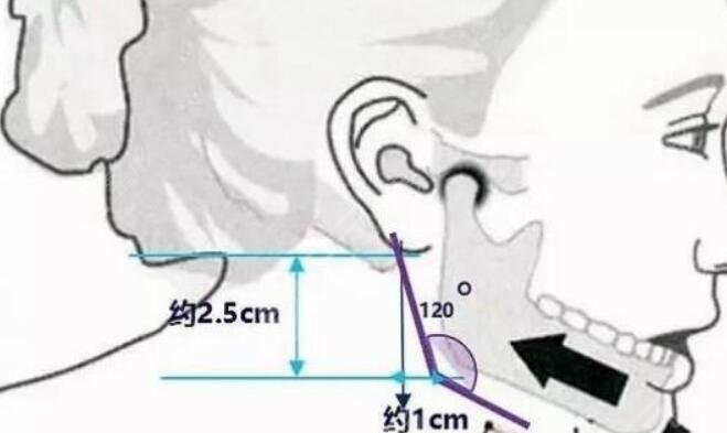 下頜緣