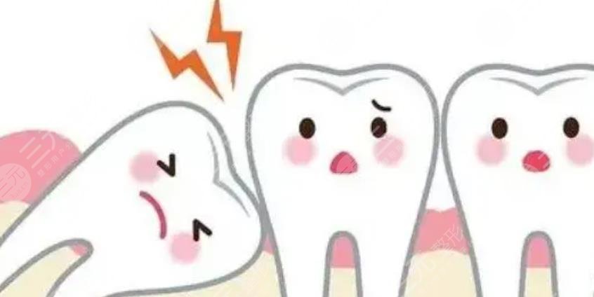 智齒