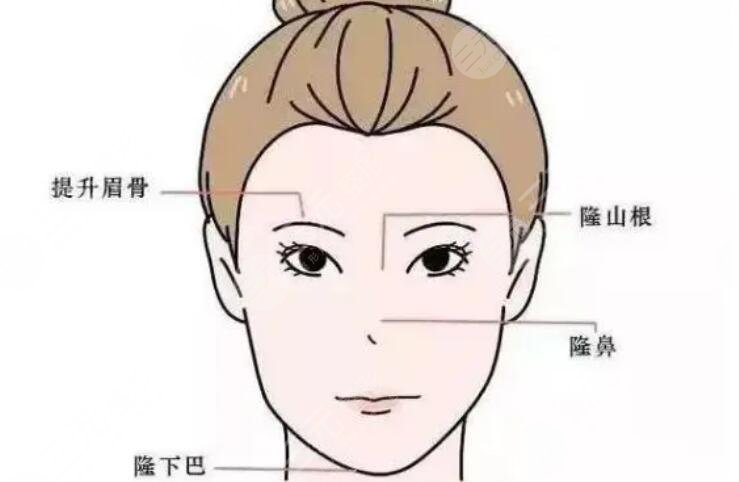 隆眉弓