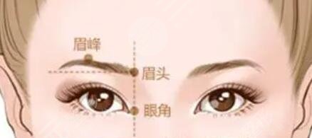隆眉弓