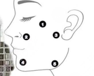 輪廓