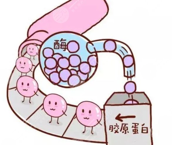 膠原蛋白