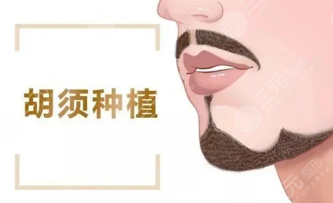胡須種植