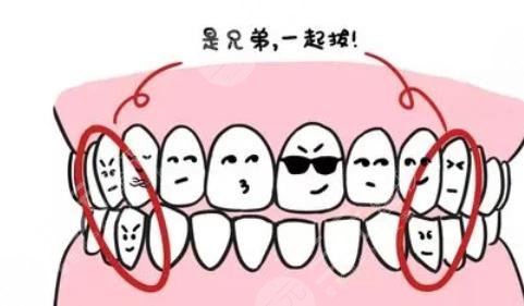 牙齒矯正