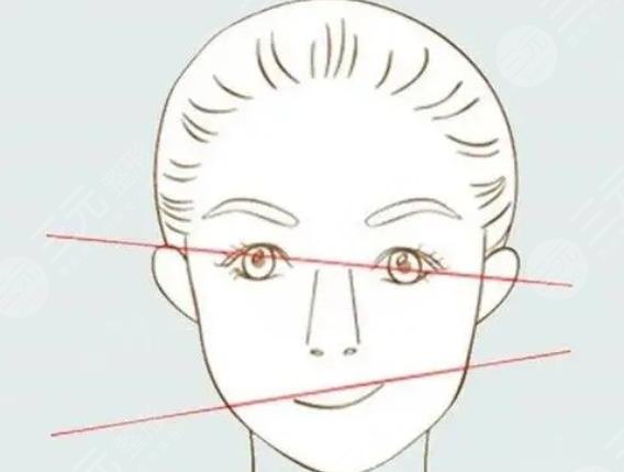 面部輪廓