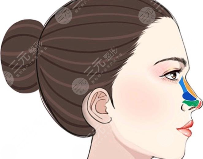 鼻翼