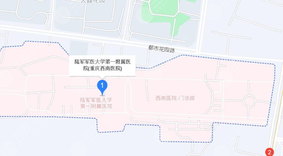 重慶西南醫(yī)院地址
