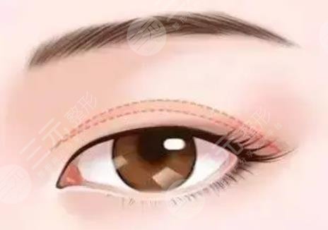 刷眼皮