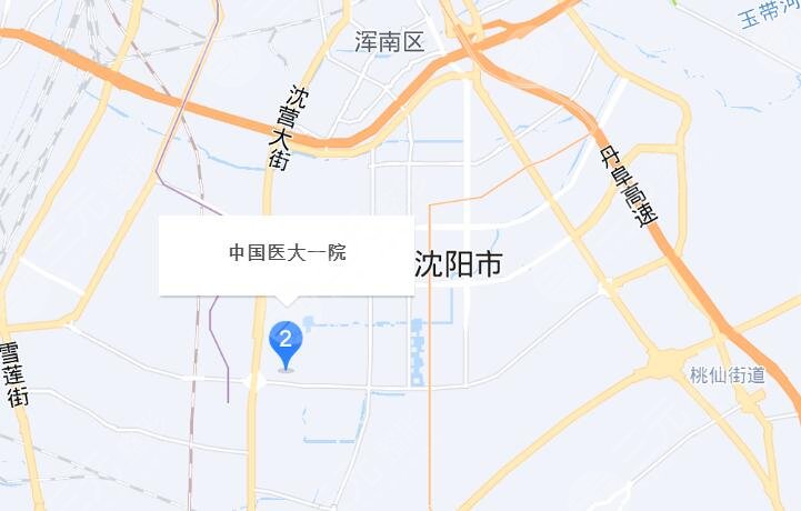 沈陽醫(yī)大一院地址