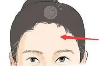 川字紋