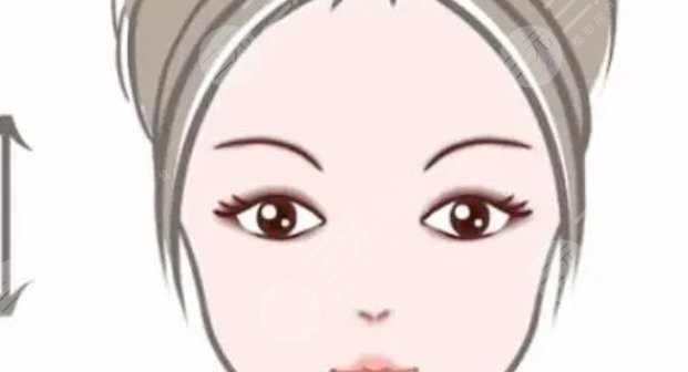 雙眼皮