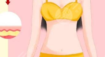 腹壁