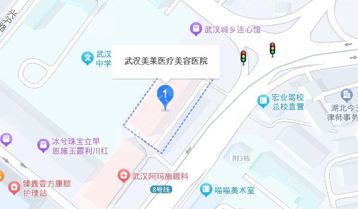 武漢美萊醫(yī)療美容醫(yī)院地址