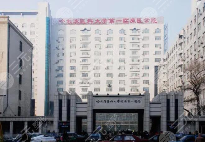 哈爾濱醫(yī)科大學附屬第一醫(yī)院